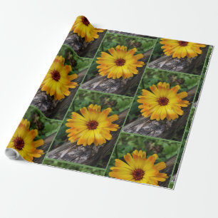 Papel De Regalo marigold en el registro