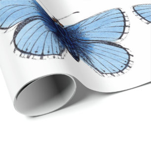 Papel de regalo - Mariposa azul