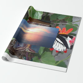 Papel De Regalo Mariposa cola de cebra