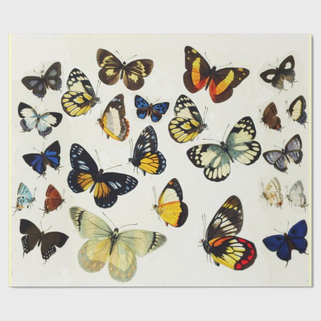 Papel De Regalo MARIPOSAS BLANCAS AZULES ROJAS DE BELLEZA Naturale (Superficie plana)