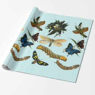 Papel De Regalo Mariposas Caterpillar Bugs Insectos Naturales Arte