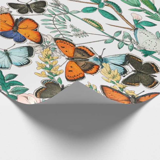 PAPEL DE REGALO MARIPOSAS EN LA NATURALEZA (Esquina)