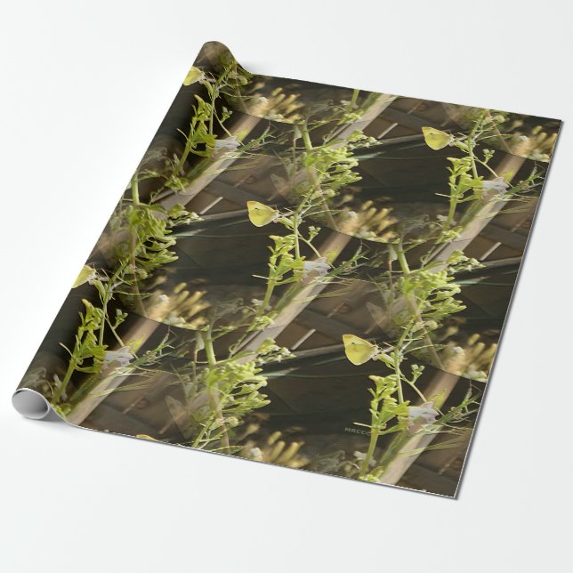 Papel De Regalo Mariposas enamoradas...... (Desenrollado)