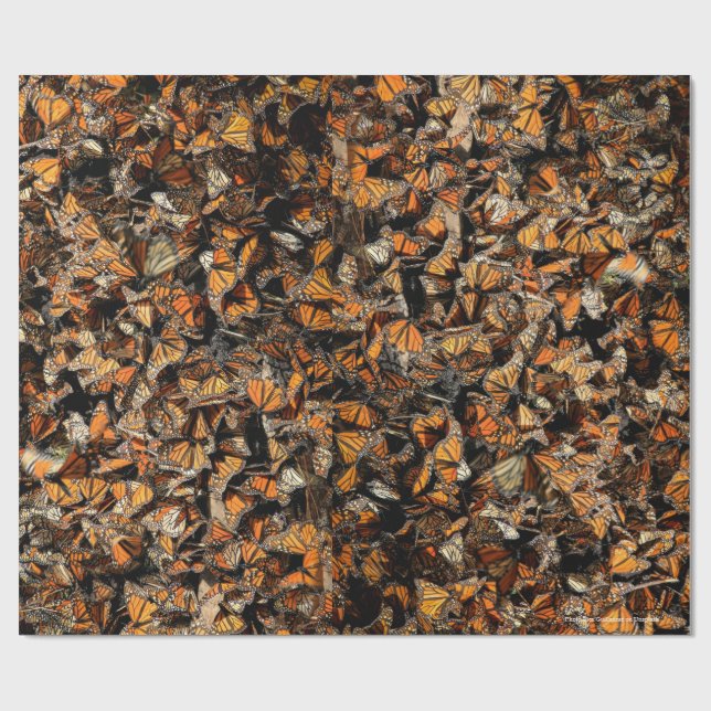 Papel De Regalo Mariposas monarcas, (Superficie plana)