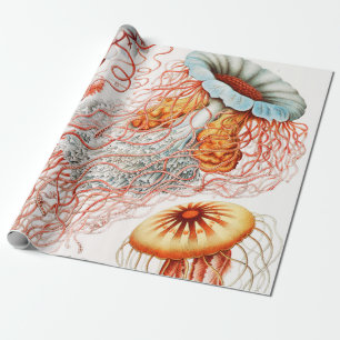 Papel De Regalo Marisco, Discomedusae de Ernst Haeckel