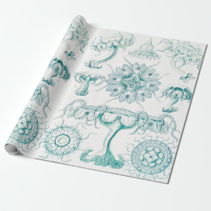 Papel De Regalo Marisco, Discomedusae de Ernst Haeckel