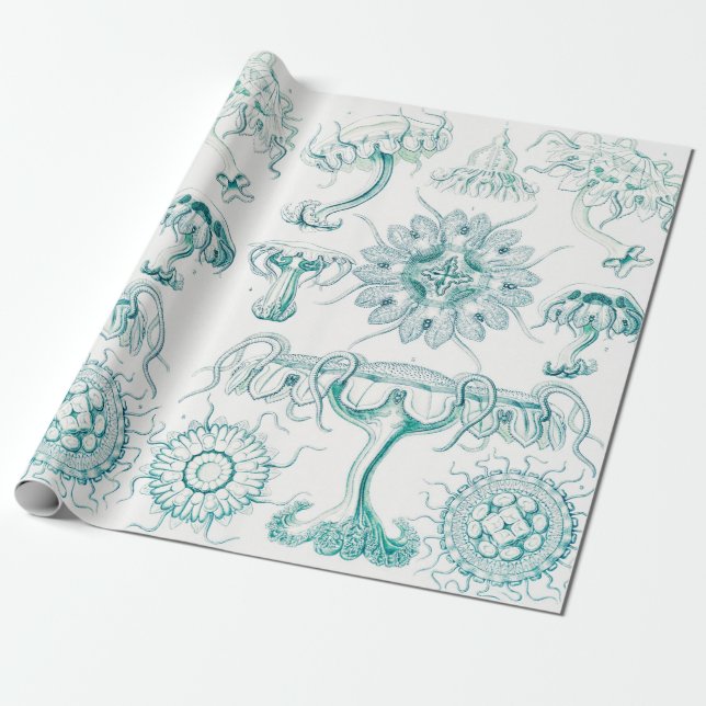 Papel De Regalo Marisco, Discomedusae de Ernst Haeckel (Desenrollado)