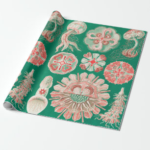 Papel De Regalo Marisco, Discomedusae de Ernst Haeckel
