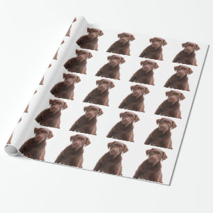Papel De Regalo Mascota de fotografía de cachorro de perro de lab