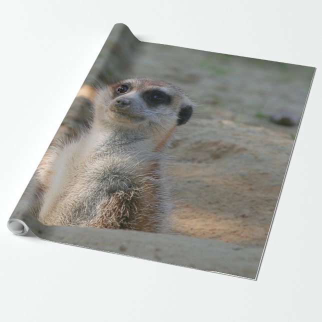 Papel De Regalo Meerkat 004 (Desenrollado)