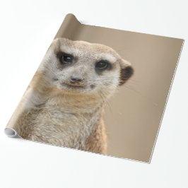 Papel De Regalo Meerkat_2015_0211