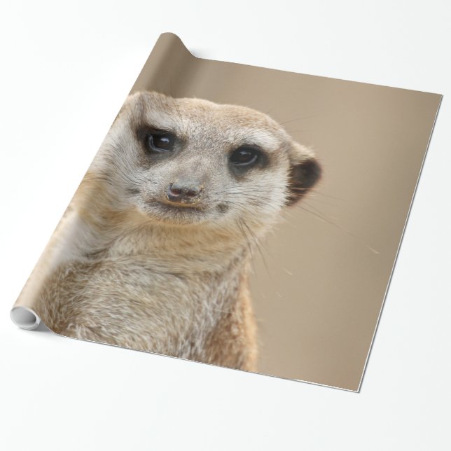 Papel De Regalo Meerkat_2015_0211 (Desenrollado)