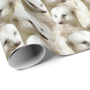 Papel De Regalo Meerkats blancos,