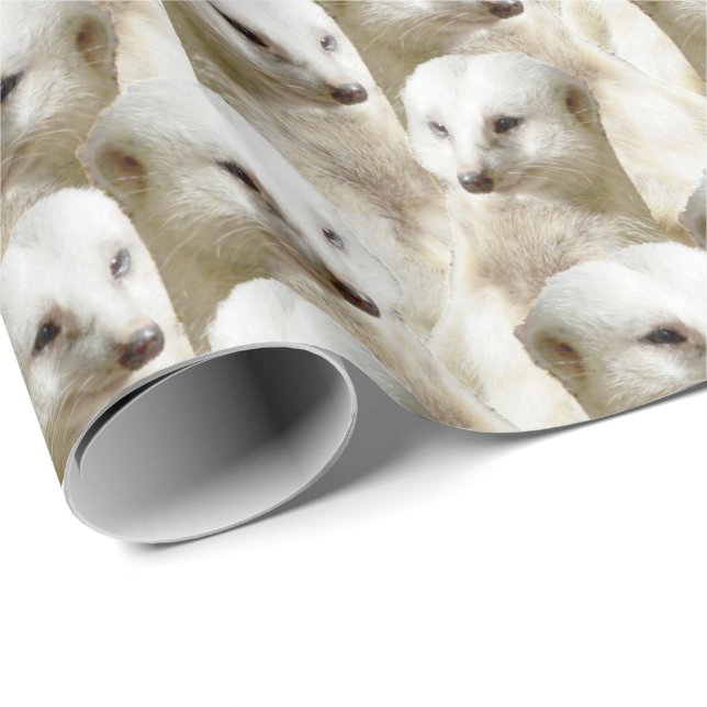 Papel De Regalo Meerkats blancos, (Esquina del rollo)