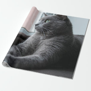 PAPEL DE REGALO MI ROUTER DE SUEÑO RESCATABA KITTEN