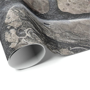 Papel De Regalo Michigan Petoskey Stones