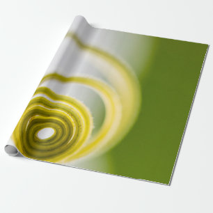 Papel De Regalo Microfotografía del tallo de la planta