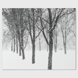 Papel De Regalo mientras yo lado con árboles