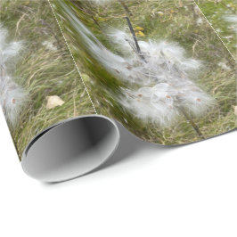 Papel De Regalo Milkweed | Mariposa |