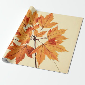 Papel De Regalo Minimalist Maple Leaves Art – Botanical Print