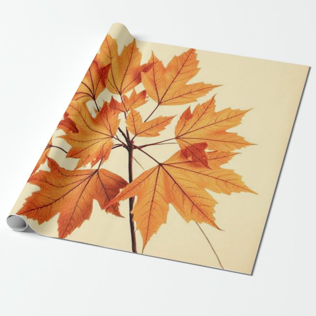 Papel De Regalo Minimalist Maple Leaves Art – Botanical Print (Desenrollado)
