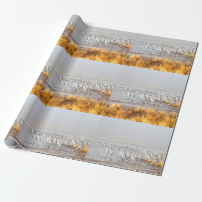 Papel De Regalo Misty Sandhill Cranes (Desenrollado)
