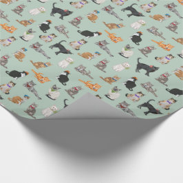 Papel De Regalo Modelo apuesto lindo del gato de los gatitos