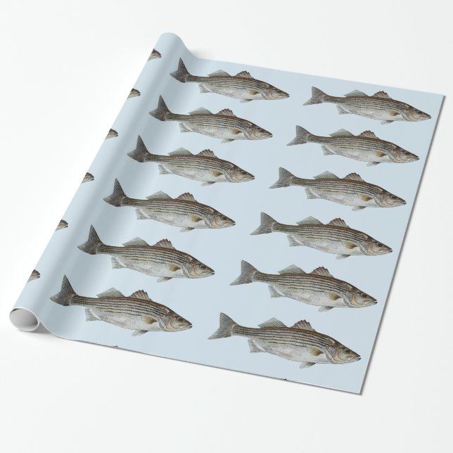 Papel De Regalo Modelo de los pescados de la lubina rayada (Desenrollado)