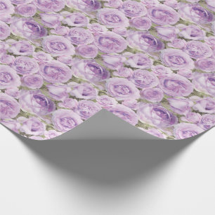 Papel De Regalo Modelo floral de la púrpura de la lavanda de los