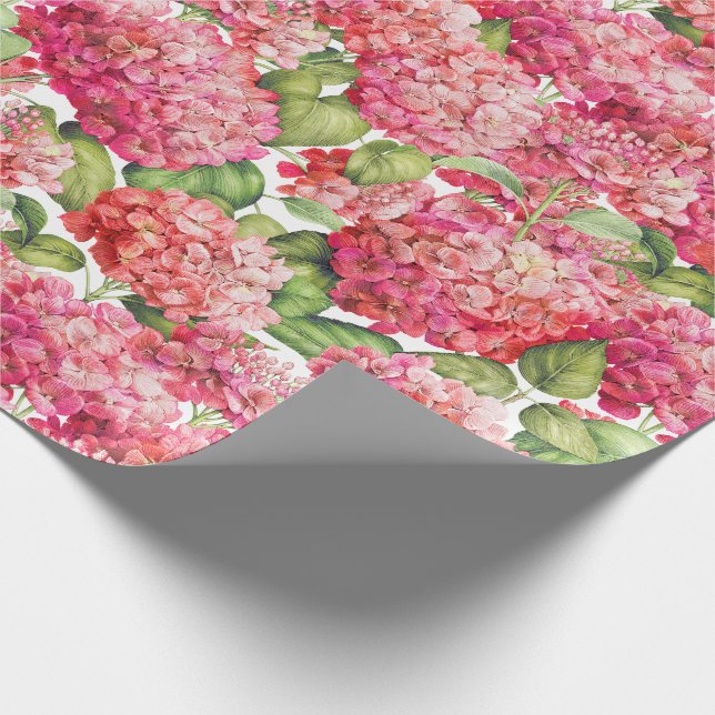 Papel De Regalo Modelo rosado coralino floral del Hydrangea (Esquina)