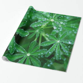 Papel De Regalo Molinillos de viento verdes de hojas con las gotas