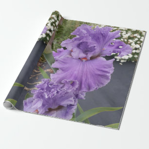 Papel De Regalo Morado Iris flores Lavender Lilac