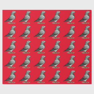 Papel De Regalo Mostrar pichón Racer Blue Checker