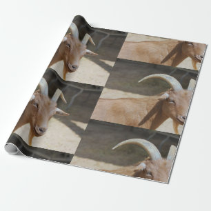 Papel De Regalo Mt. Bill