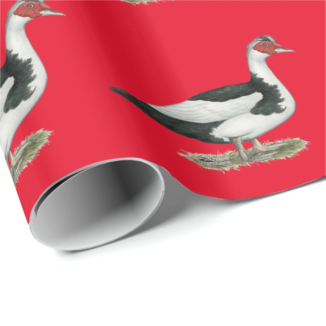Papel De Regalo Muscovy Drake de varios colores negro (Esquina del rollo)