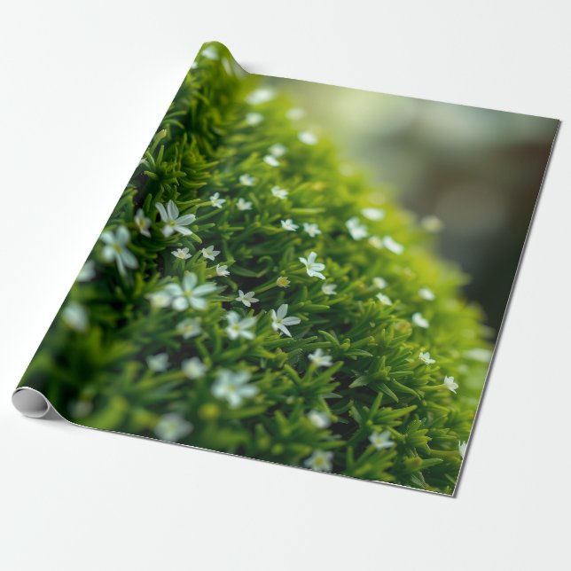 Papel De Regalo Musgo de Bosque Encantado de Primavera (Desenrollado)