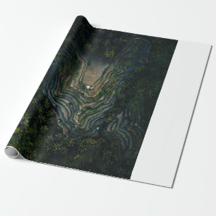 Papel De Regalo musgo verde sobre roca negra