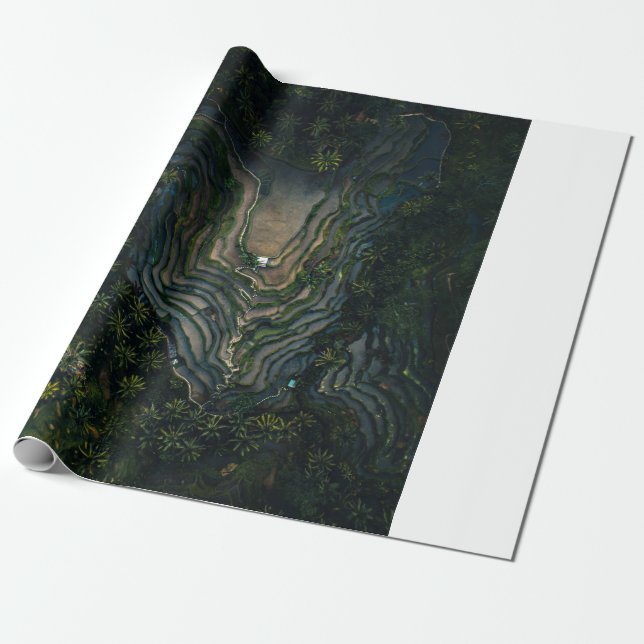 Papel De Regalo musgo verde sobre roca negra (Desenrollado)