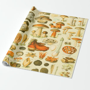 Papel De Regalo Mushroom Vintage Toadstool Ilustracion antiguo