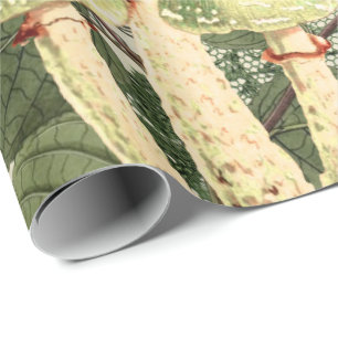 Papel De Regalo Mushroom Woodland Antiguo Vintage Burlap Lace