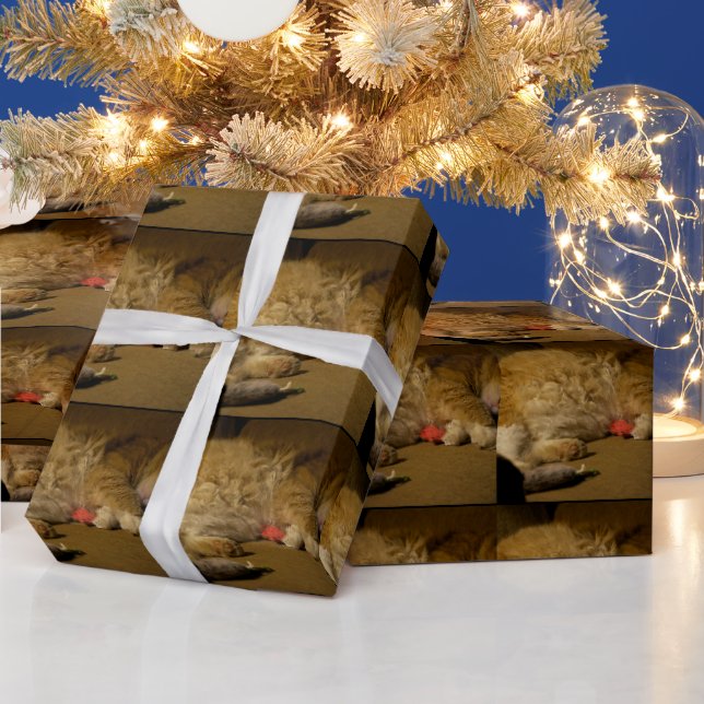 Papel De Regalo Napa de gato (Vacaciones)