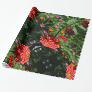 Papel De Regalo naranja rojo daisy floral, jardín de flores rojas