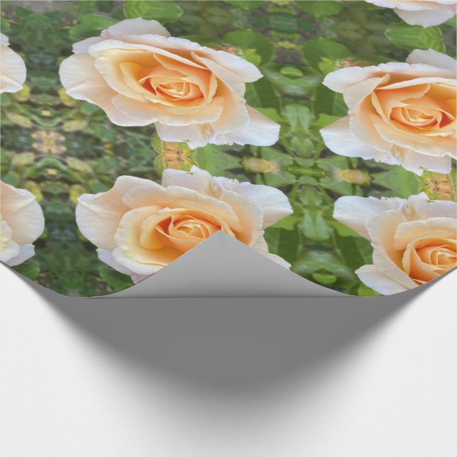 Papel De Regalo Naranjas románticos Rosas Rosas Flores Florales (Esquina)