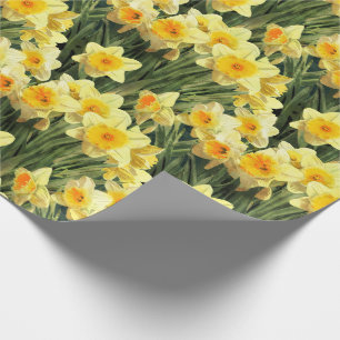Papel De Regalo Narcisos amarillos de la primavera