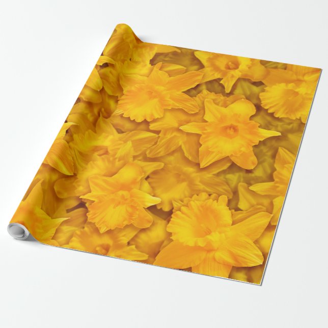 Papel De Regalo Narcissus Flowers (Desenrollado)