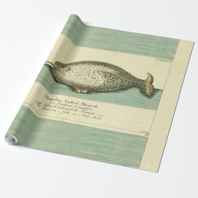 Papel De Regalo Narwhal Antiguo Whale Watercolor Arte Científico (Desenrollado)