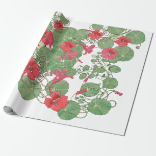 Papel De Regalo Nasturtios rojos   Litografía antigua 1896