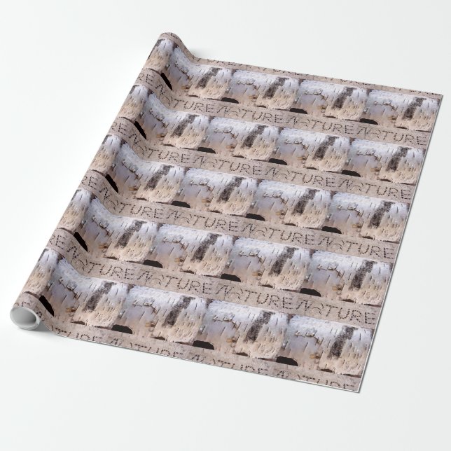 Papel De Regalo Naturaleza Bartolín de Birch (Desenrollado)