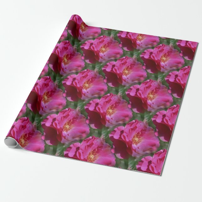 Papel De Regalo Naturaleza del patrón de flor rosa rosa (Desenrollado)