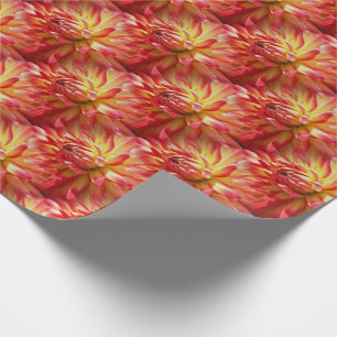 Papel De Regalo Naturaleza del patrón de flores de Dahlia roja  